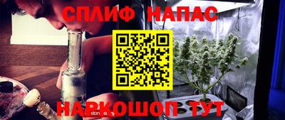 стаф Камышлов