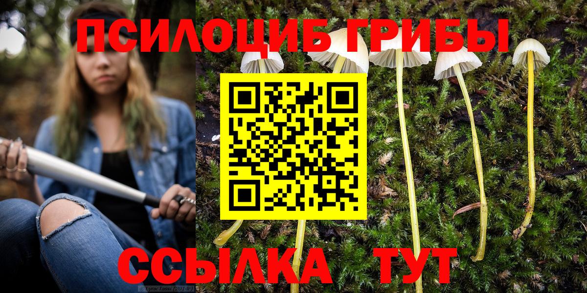 Галлюциногенные грибы мухоморы  Вход с VPN  Мариинск 